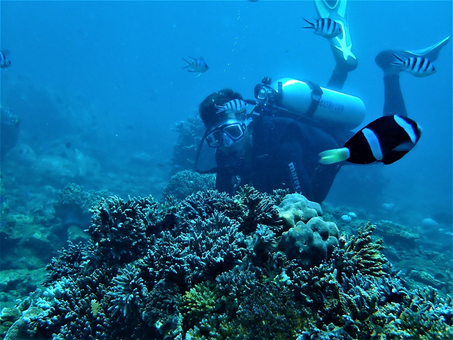 Khám phá các môn thể thao dưới nước tại bãi lặn Vinpearl Diving Club.